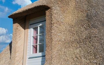 Smallfield thatch roof disadvantages